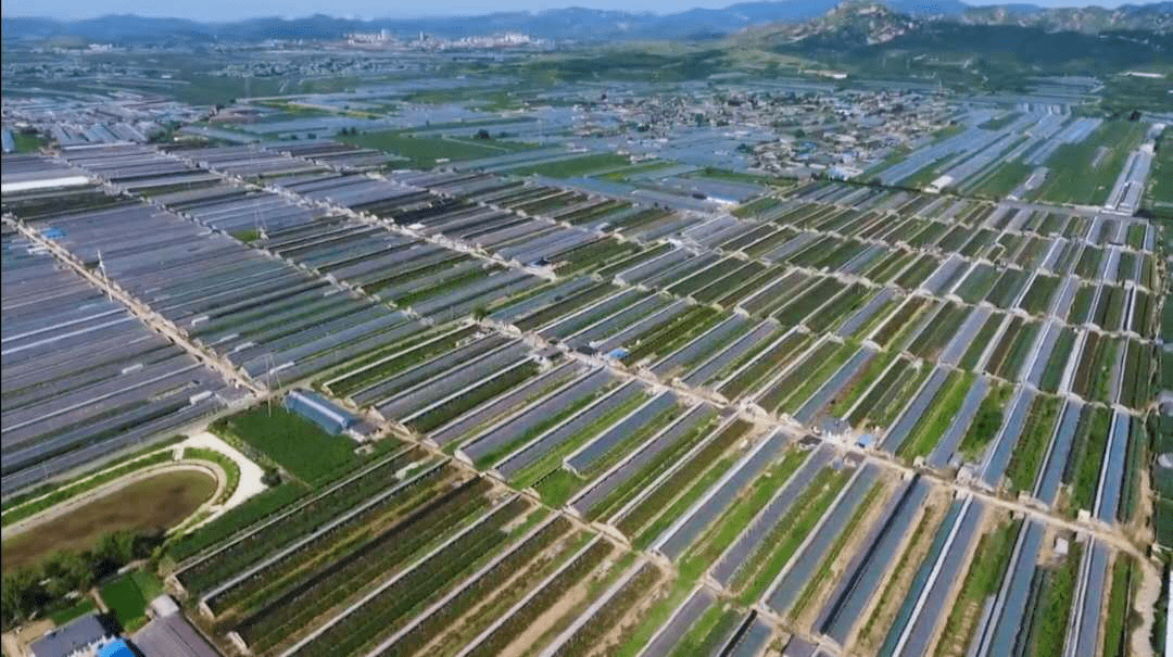 鲅鱼圈村镇人口_鲅鱼圈风景图片