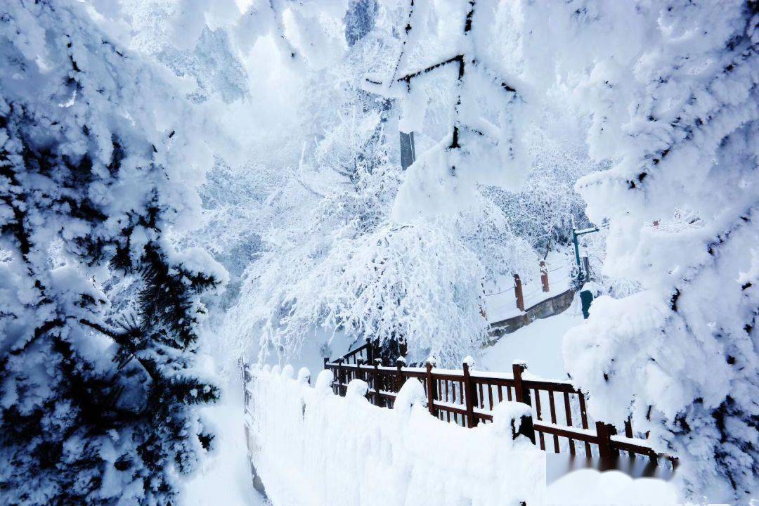 周未亲子玩雪畅玩瓦屋山雪景周未小休闲湖景房15日自驾行