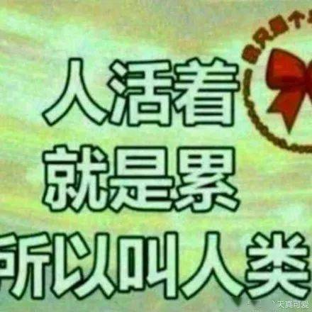 【爆笑段子】 父母的微信头像都是什么样子的 ?哈哈哈哈哈.