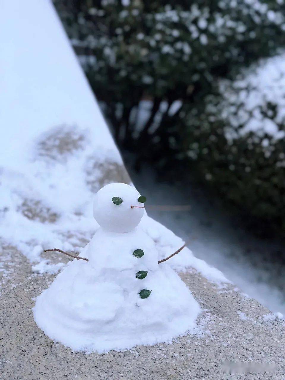 多年不见,你的朋友圈下雪了么?