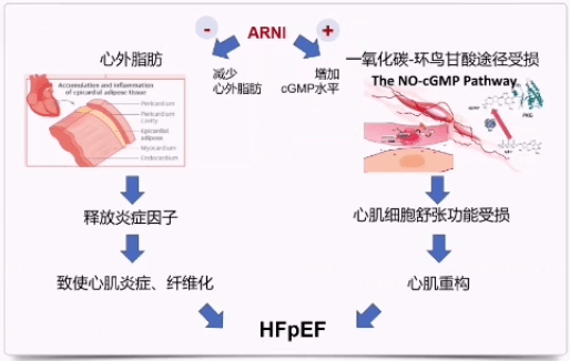 心讲座 李新立:射血分数保留心力衰竭(hfpef)合并高血压的治疗策略