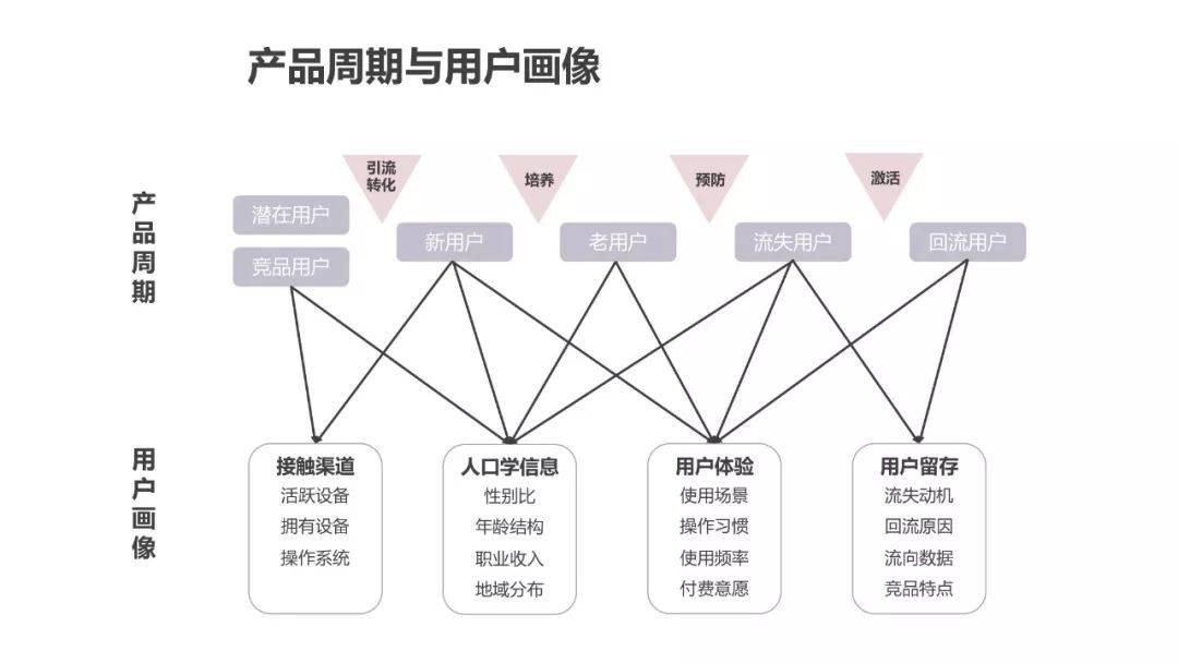 人口用户画像_用户画像