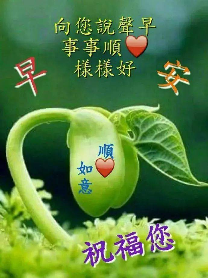 中老年表情包,这一年,想说一声,谢谢有你!