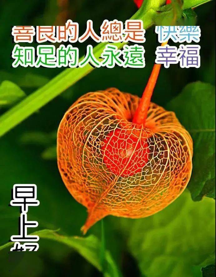 1月7日清晨早上好问候祝福动态表情图片 2021年最新早安问候祝福图片