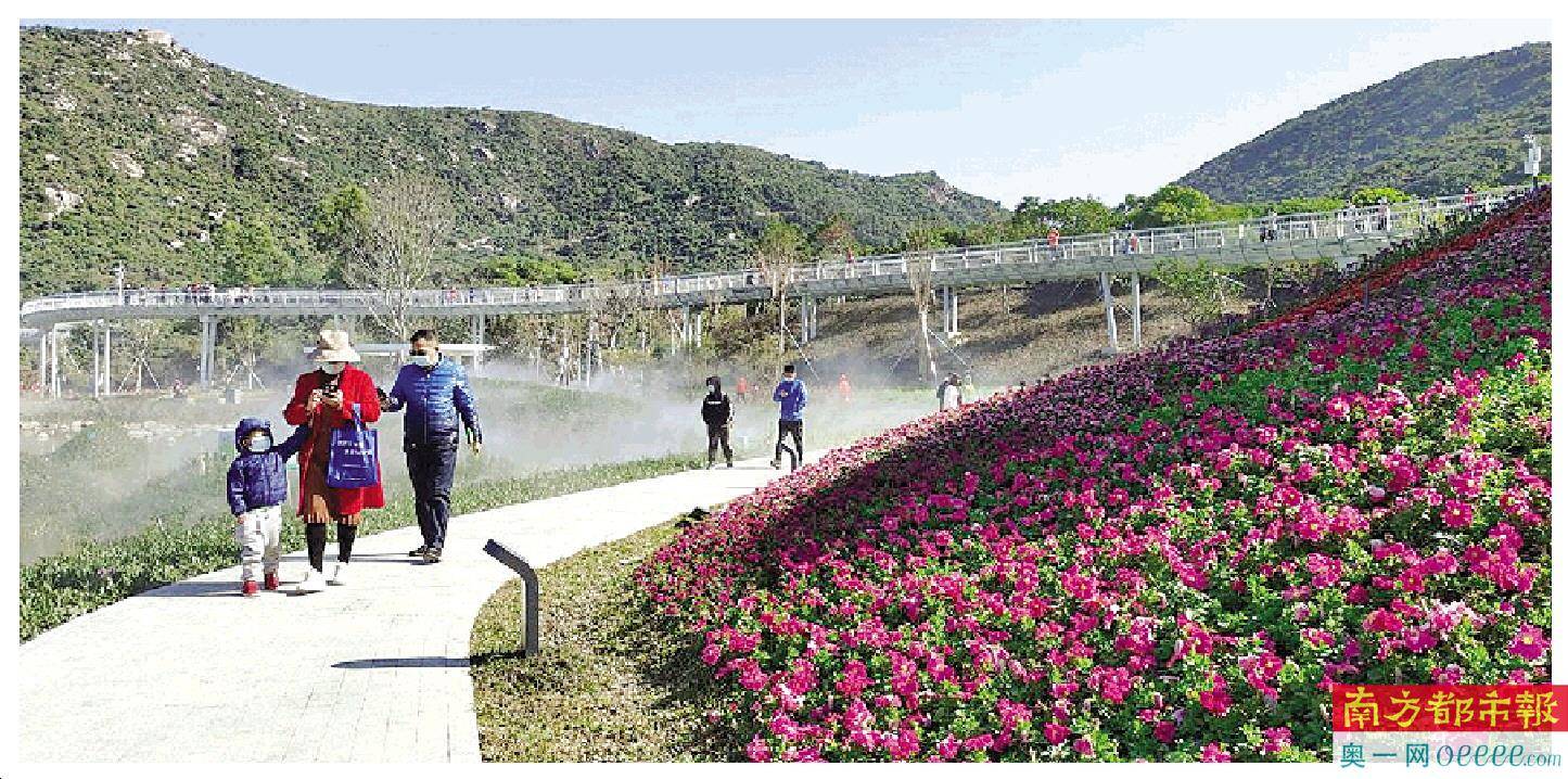 轻盈如仙鹤 山海步道也是健康道