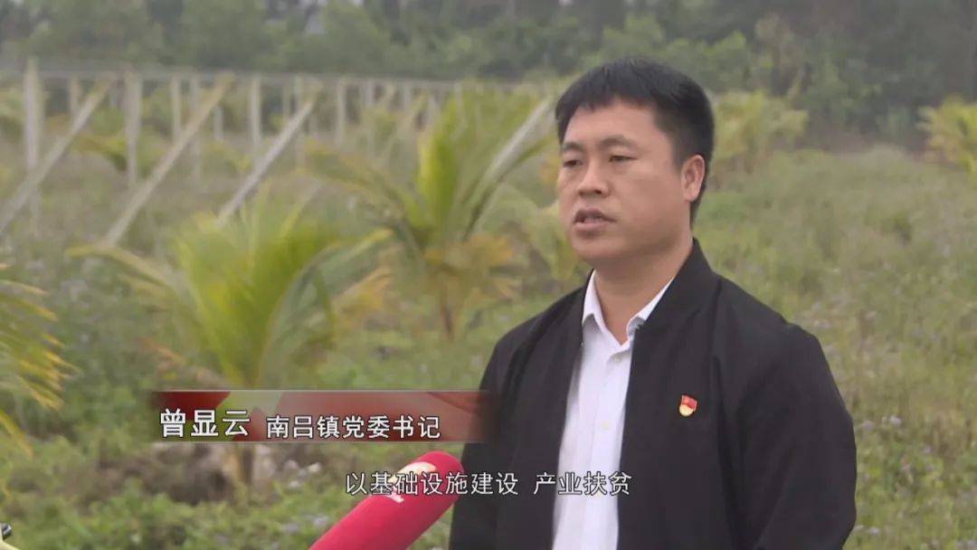 韦洲镇人口_人口普查