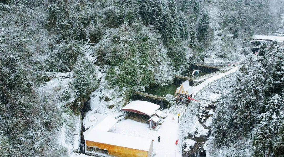 下雪啦什邡城区头皮雪山区好大雪