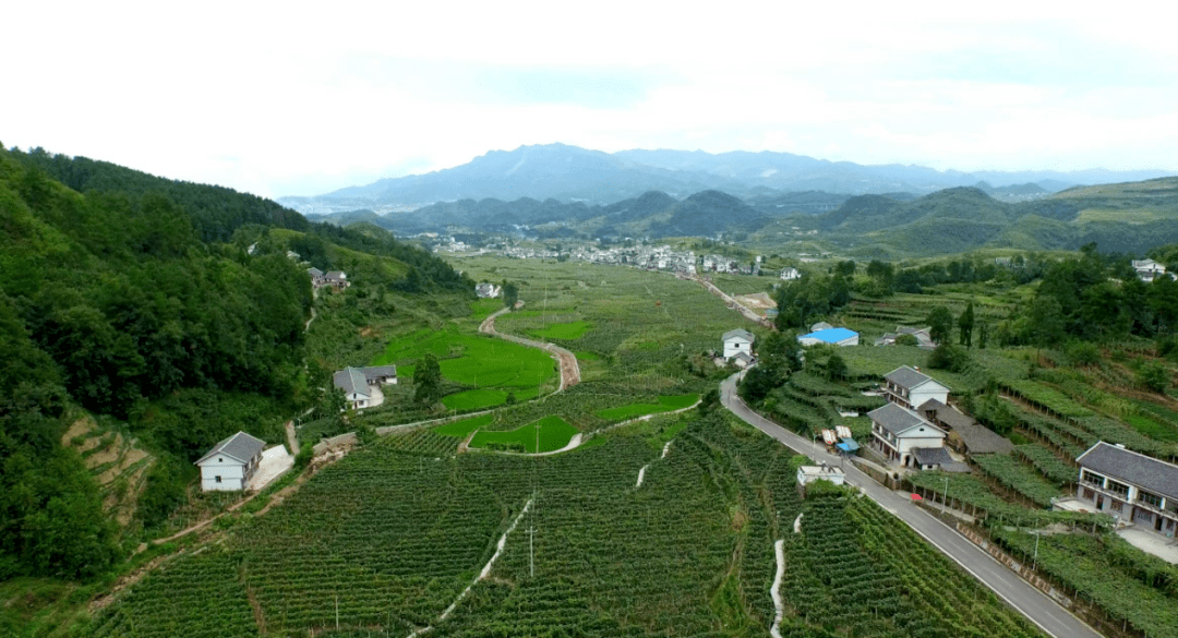 息烽县"十三五"农村产业革命:村美民富产业兴 铺展乡村振兴路
