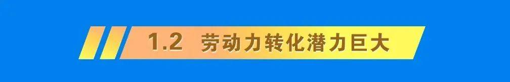 献礼|献礼四周年 | 龙华首份年度人才大数据研究报告重磅发布！