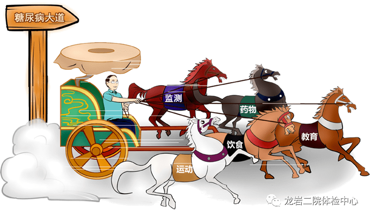 运动是糖尿病治疗的"五驾马车"之一