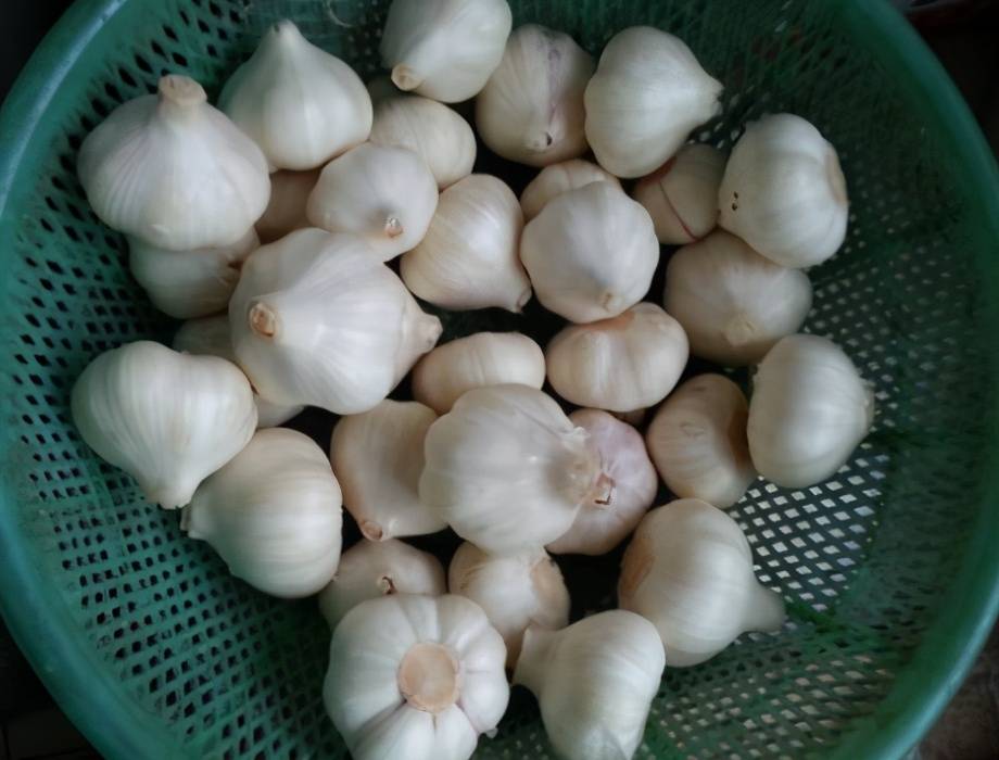 蒜头怎么泡好吃又脆 94748b2ada9c46088df74a726b52e9a5.jpeg