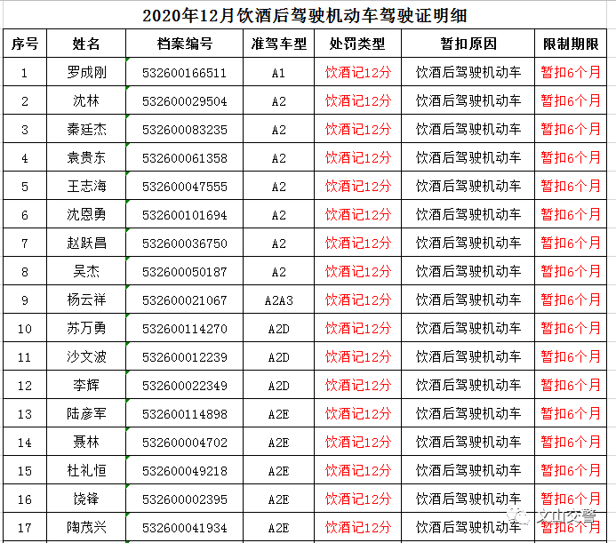 实名曝光!这些文山驾驶人被记12分,暂扣6个月驾驶证!