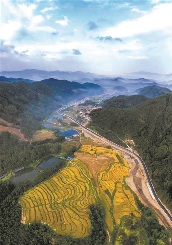 佛山三个区入选省级"四好农村路"示范县