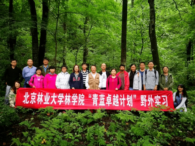 
对口援建显成效 青蓝计划助发展——林园学院教师到场北京林业大学“青蓝”卓越青年教师发展计划|NG体育官方入口