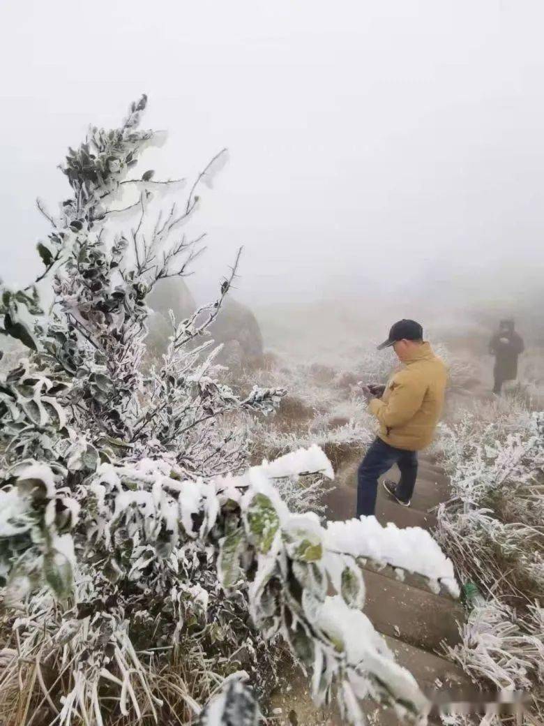 昨天刷爆灵山朋友圈的东山雪景你看到了吗