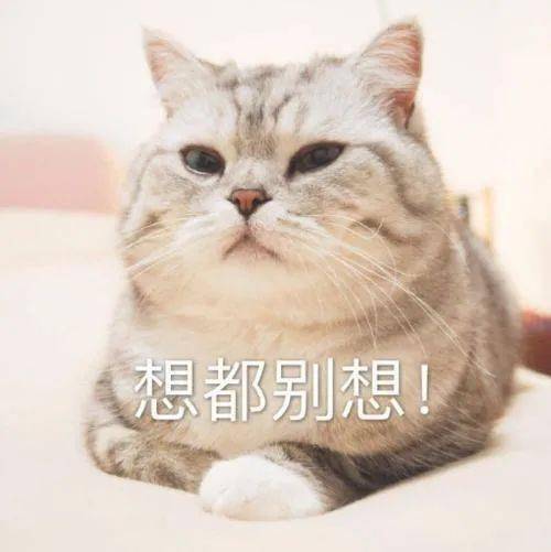30e299b6064c40a180c40e47ddd217b2.jpeg
