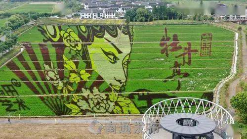 昆山张浦镇2020年gdp_昆山张浦站街鸡图片