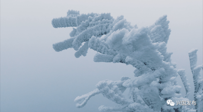 兴国雪景!看完图二,彻底沦陷了._大乌山