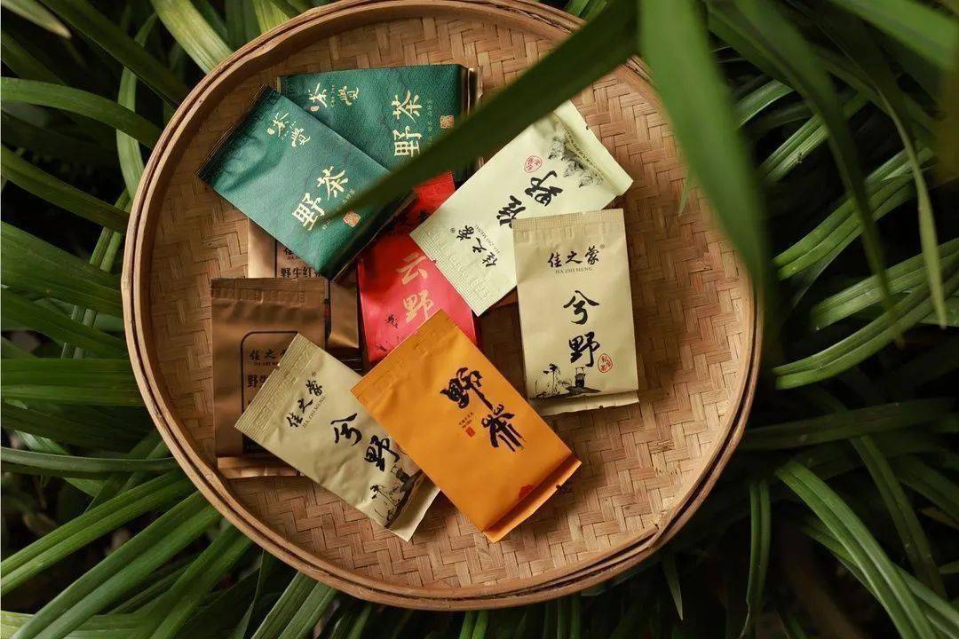 龙泉茶农吴呈伟做品质至上的野茶
