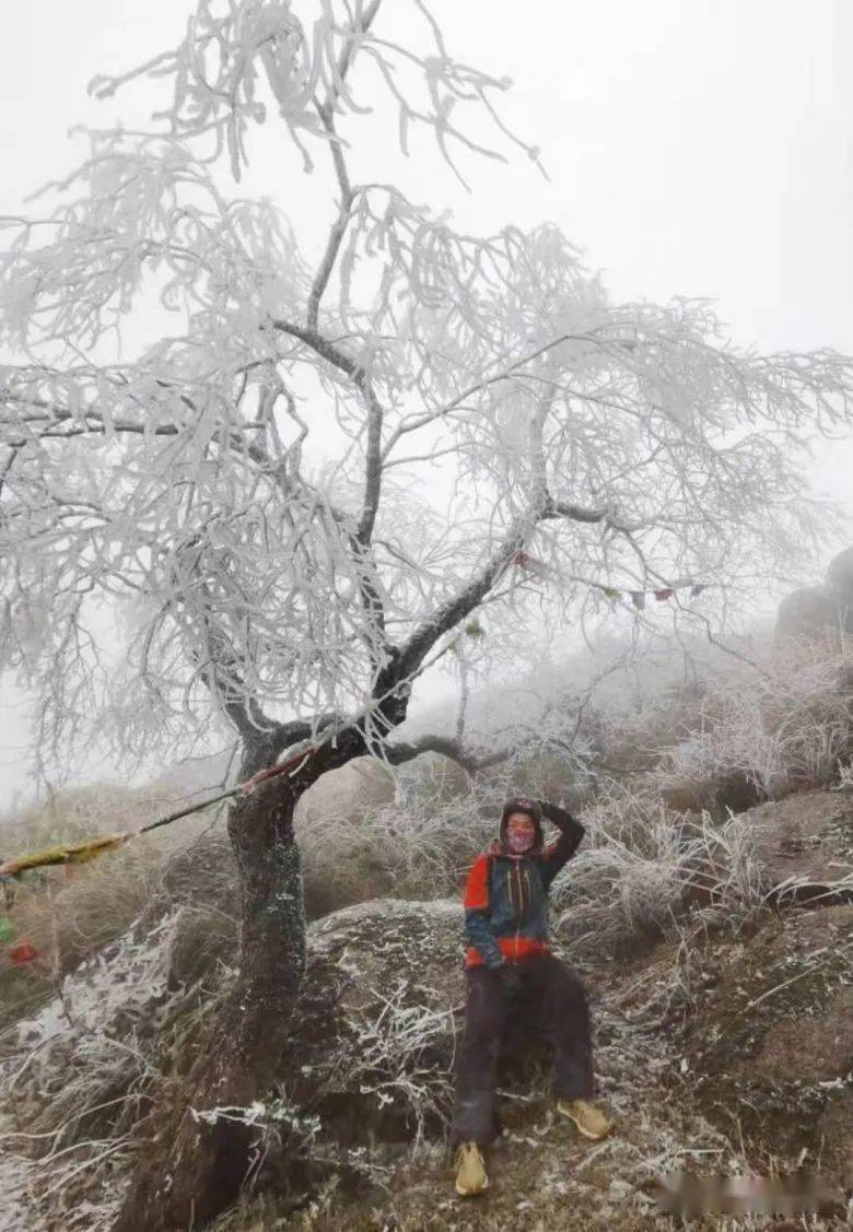 昨天刷爆灵山朋友圈的东山雪景你看到了吗