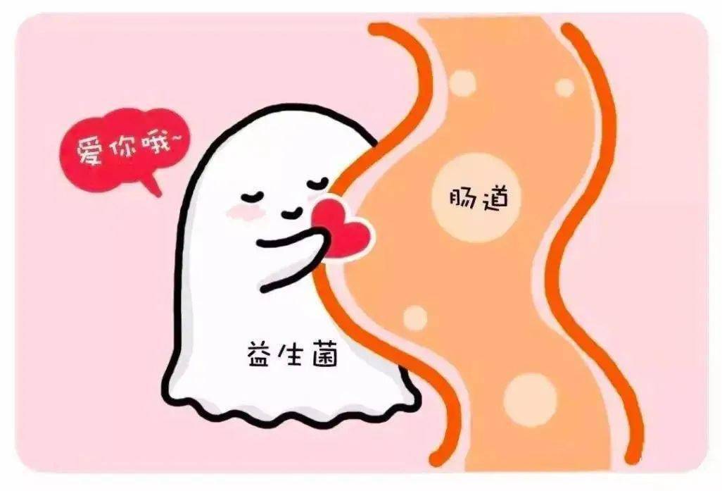 怎样快速解决便秘问题拉不出来 d9e4828566194adb82db8edba074bd8a.jpeg