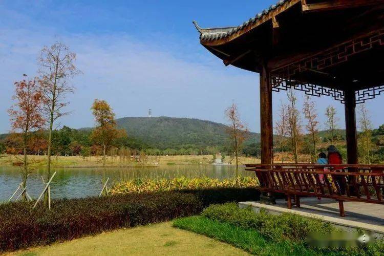 郁南人口有多少_郁南大王山森林公园(2)