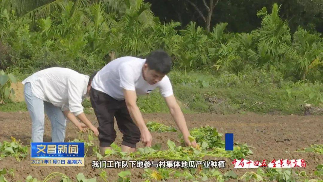 文昌文城镇经济总量_海南文昌文城镇地图