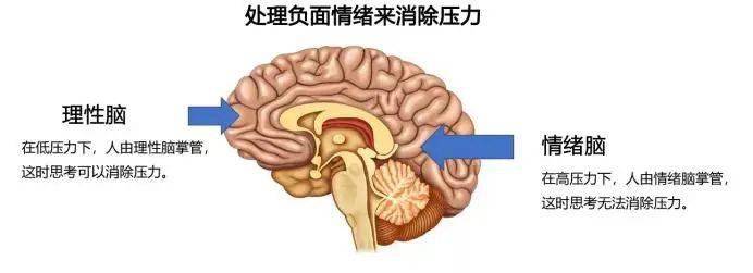 怎样驯服情绪脑 改善心理健康?