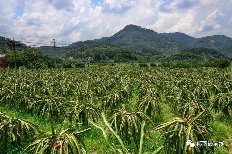 郁南县有多少人口_郁南县地图全图
