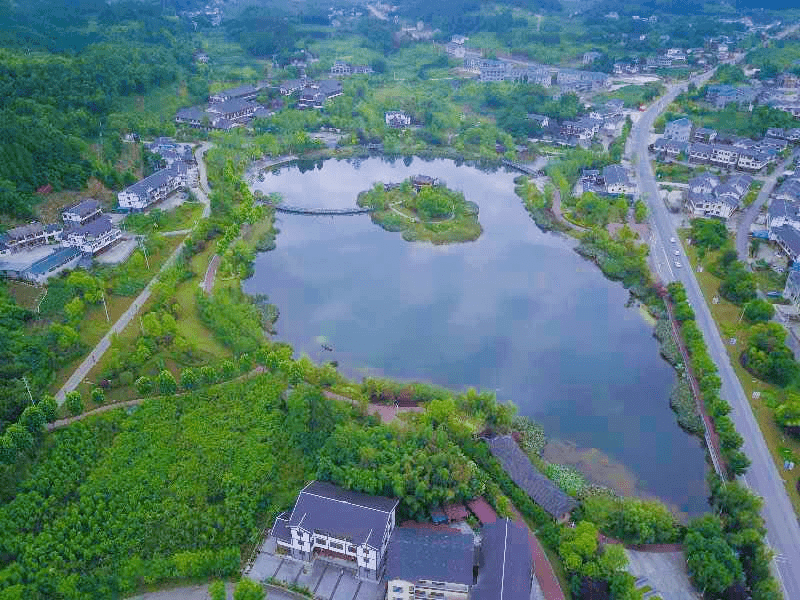 镇街道书记谈发展丨新舟镇党委书记宋晓杰为民服务显担当促进发展有