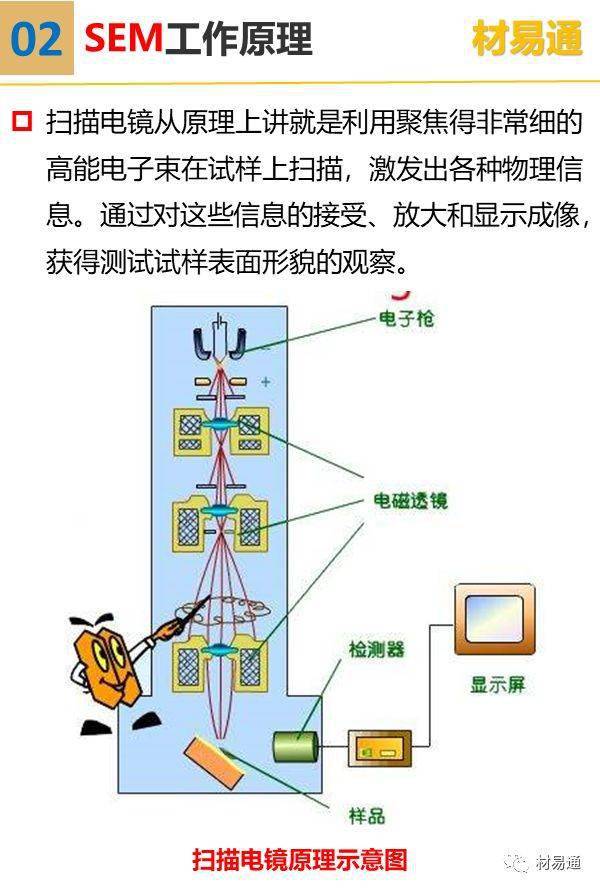 一组图看懂扫描电子显微镜(sem)