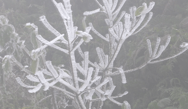 金平县2021年的第一场雪来啦！快来一起到“白头”！