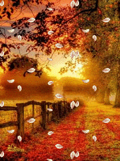 240_320 竖版 竖屏