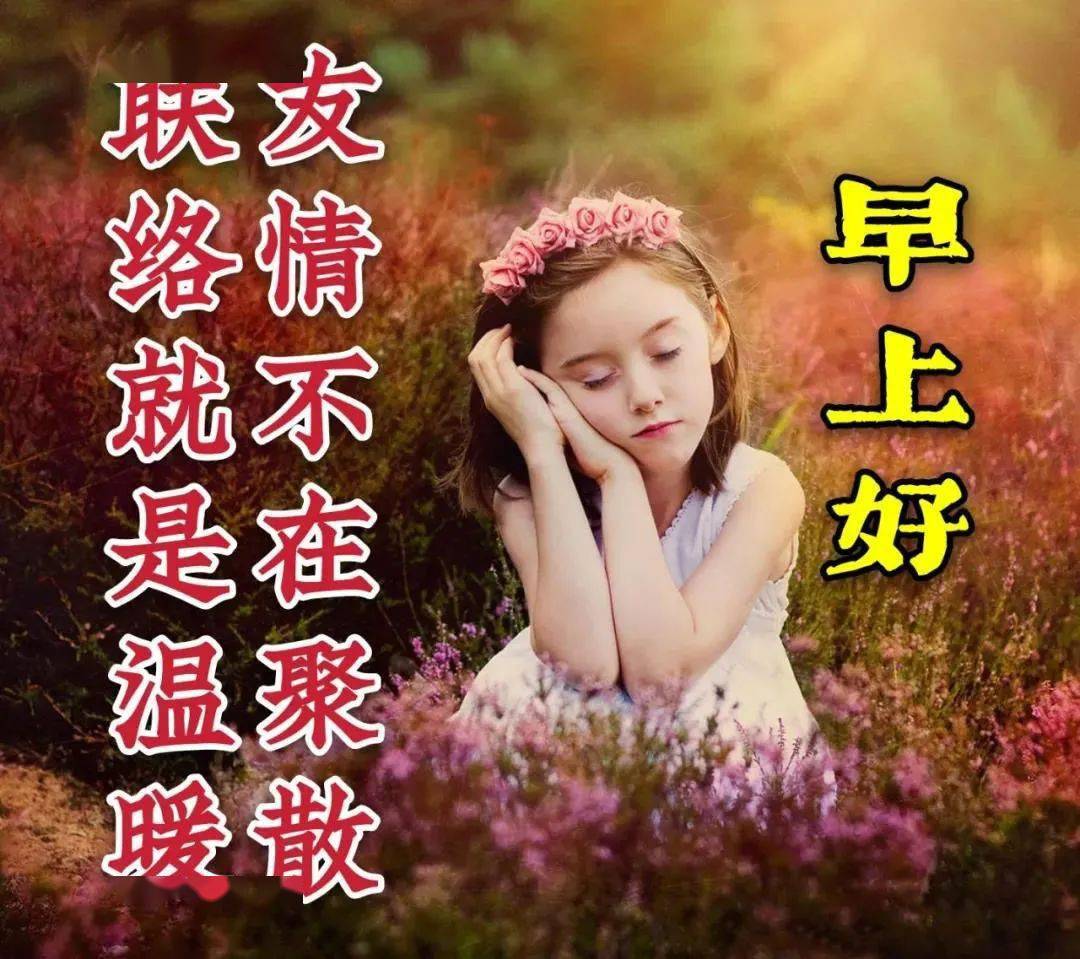 微信群发早晨好问候语动态表情句子 早上好表情包最新