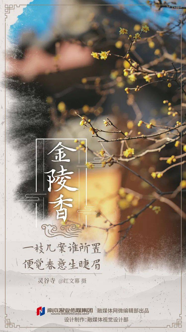 香多少人口_全球有多少贫困人口(3)
