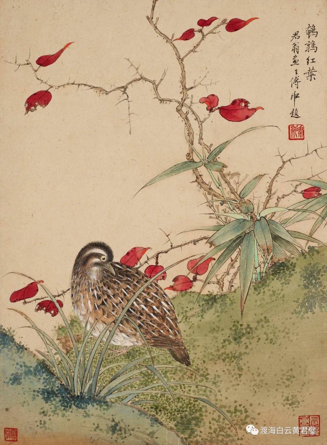 黃君璧 花卉圖 6parkbbs.com 大师：黄君璧荷花图15幅欣赏