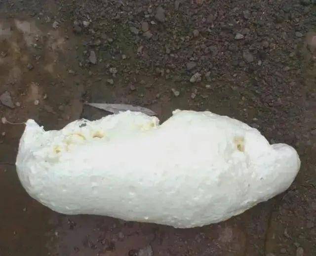 如何使用发泡填充剂 db262d91a2f24601b6a594a05bc4c802.jpeg