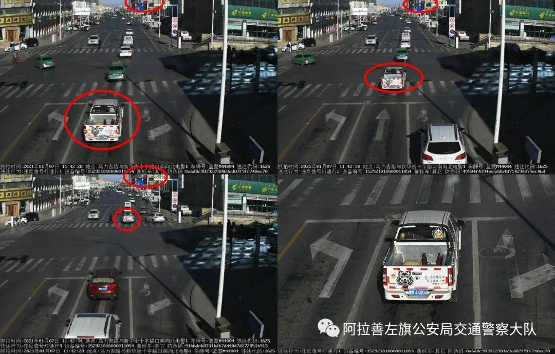 今天就曝光一下这些"主角" 看看有没有你… 甘da3542 图解:闯红灯与越
