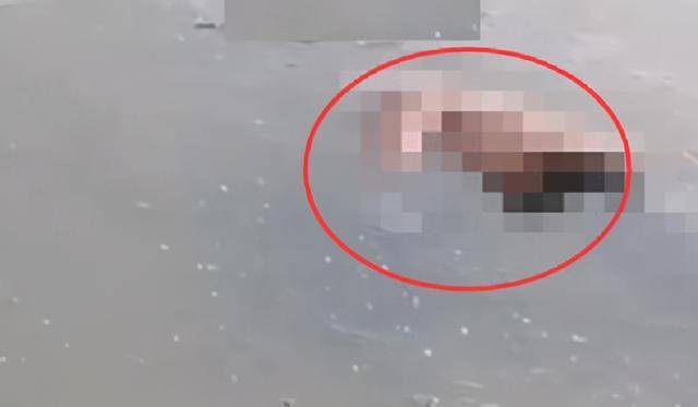 原创聊城环城湖里发现一具女尸,被冻在冰面上,疑似在冰面玩耍后掉落