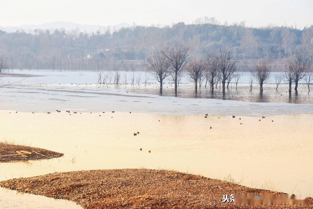 云南省会泽有多少人口2021年_会泽2021年雪景图片