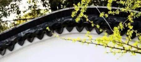 文章配图-10
