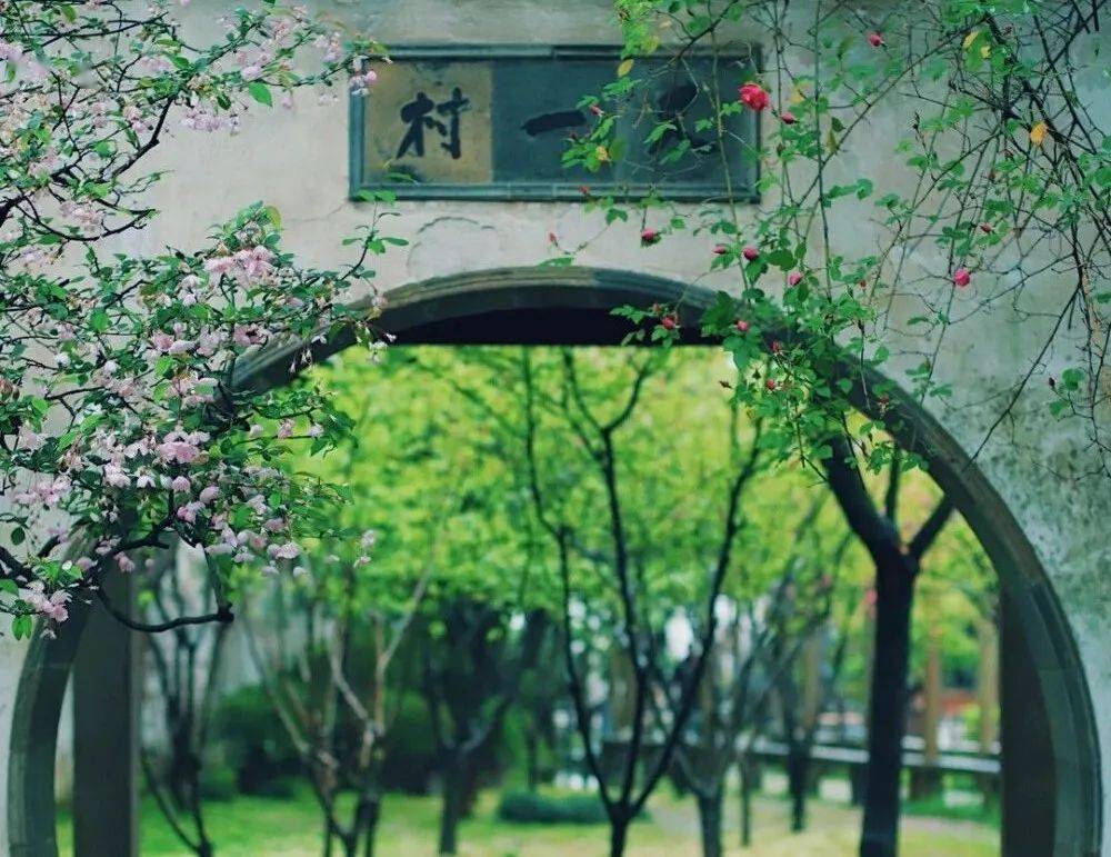 每日一悟:让烦恼随风而去