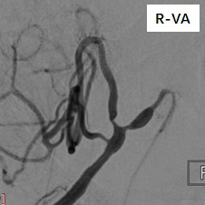 责任为曲谱写青春