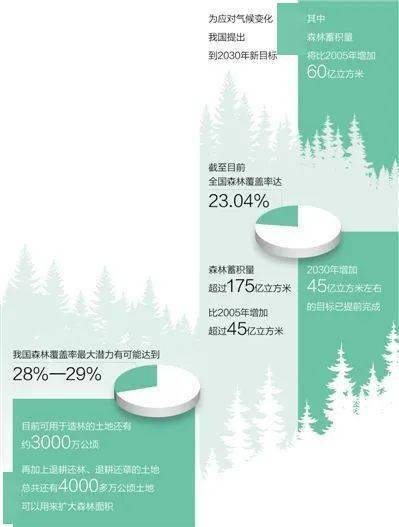 2060中国经济总量_2015中国年经济总量