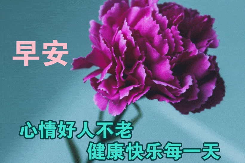 1月16日最漂亮早上好动态表情图片大全,早上好动图美图大全