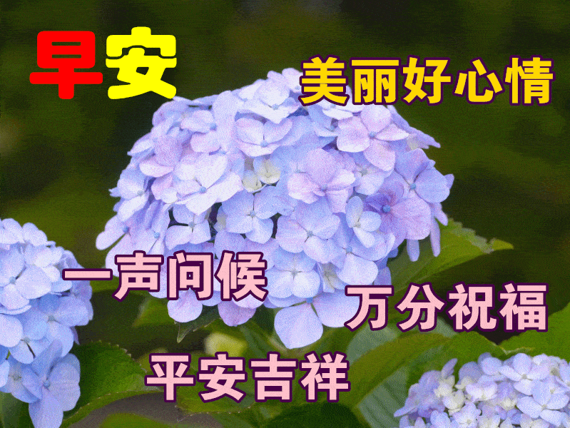 1月16日最漂亮早上好动态表情图片大全,早上好动图美图大全