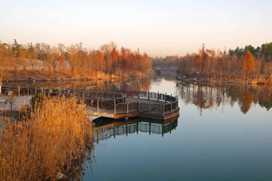 约起!慈溪的冬日有一道美丽的风景