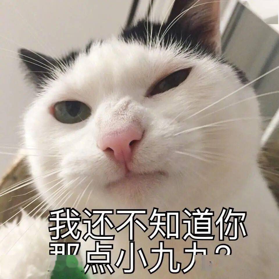 【沙雕猫表情包】陈萌萌沙雕表情包_猫猫