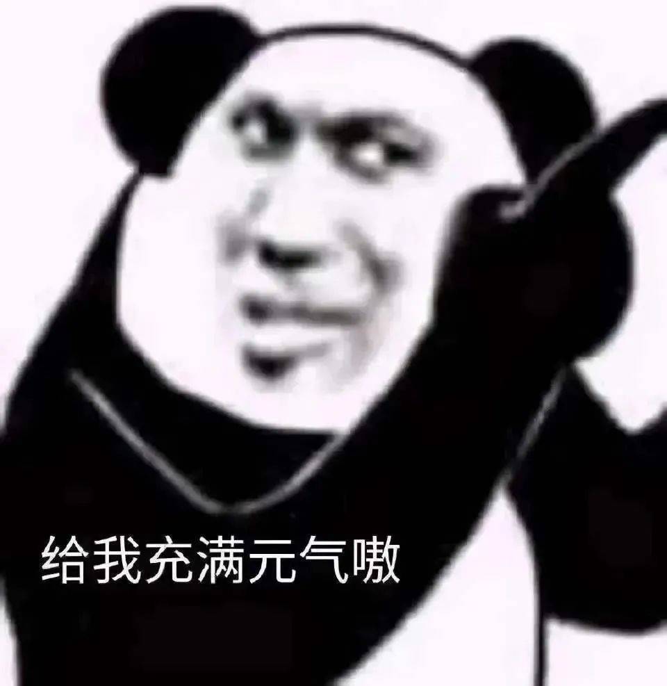 熊猫头表情包 i 就这啊,回家养猪吧你!