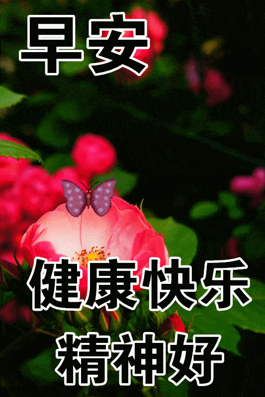 1月16日最漂亮早上好动态表情图片大全,早晨好动图美图大全